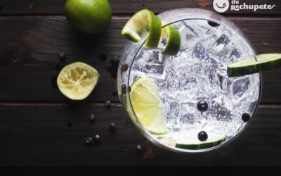 7 beneficios de beber gin tonic para tu salud