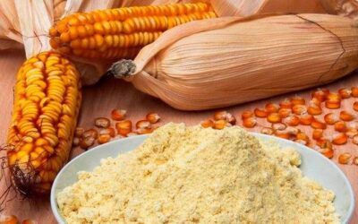 7 recetas con harina de maíz para mejorar tu salud