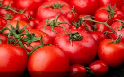 Cinco beneficios de consumir tomate concentrado