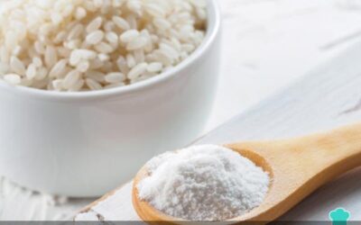 Deliciosas recetas con harina de arroz: sabores sin gluten