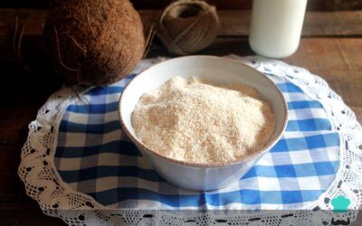 Deliciosas recetas con harina de coco para saciar tus antojos saludables