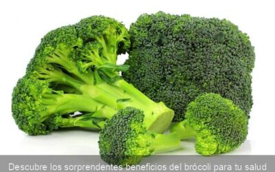 Descubre los sorprendentes beneficios del brócoli para tu salud