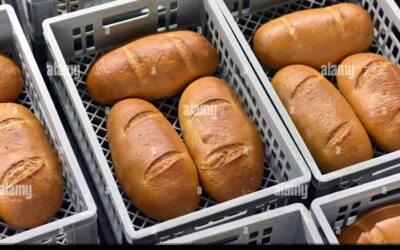 El rincón perfecto para tu pan: consejos de almacenamiento en la cocina